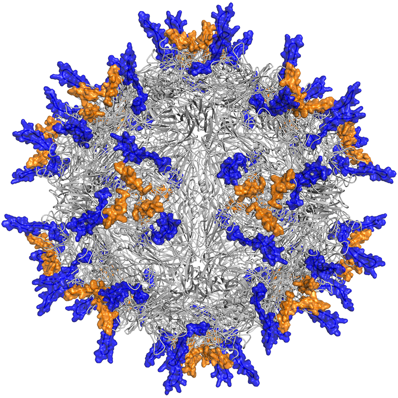 voyager therapeutics tracer